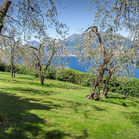 Villa Dismero-Un oasi di lusso e privacy Brenzone sul Garda Esterno foto