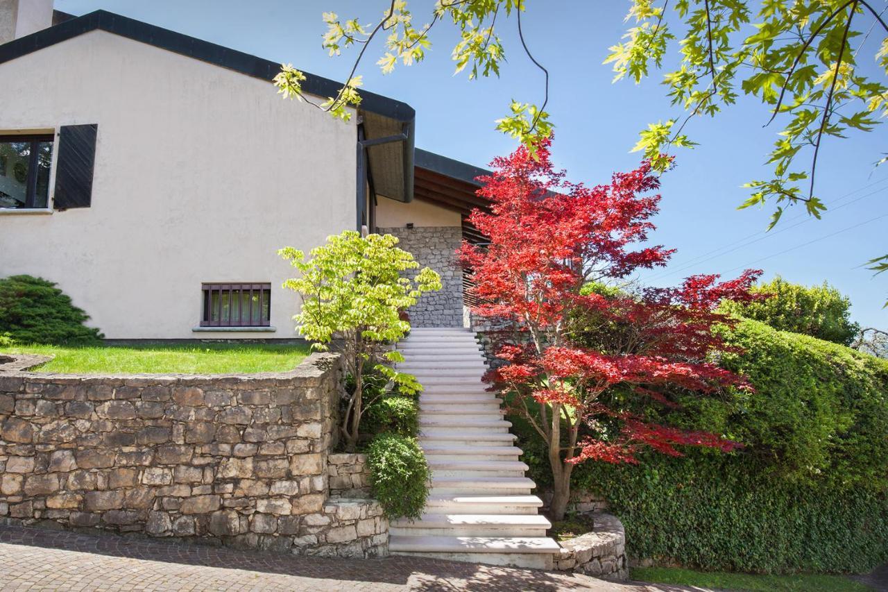 Villa Dismero-Un oasi di lusso e privacy Brenzone sul Garda Esterno foto
